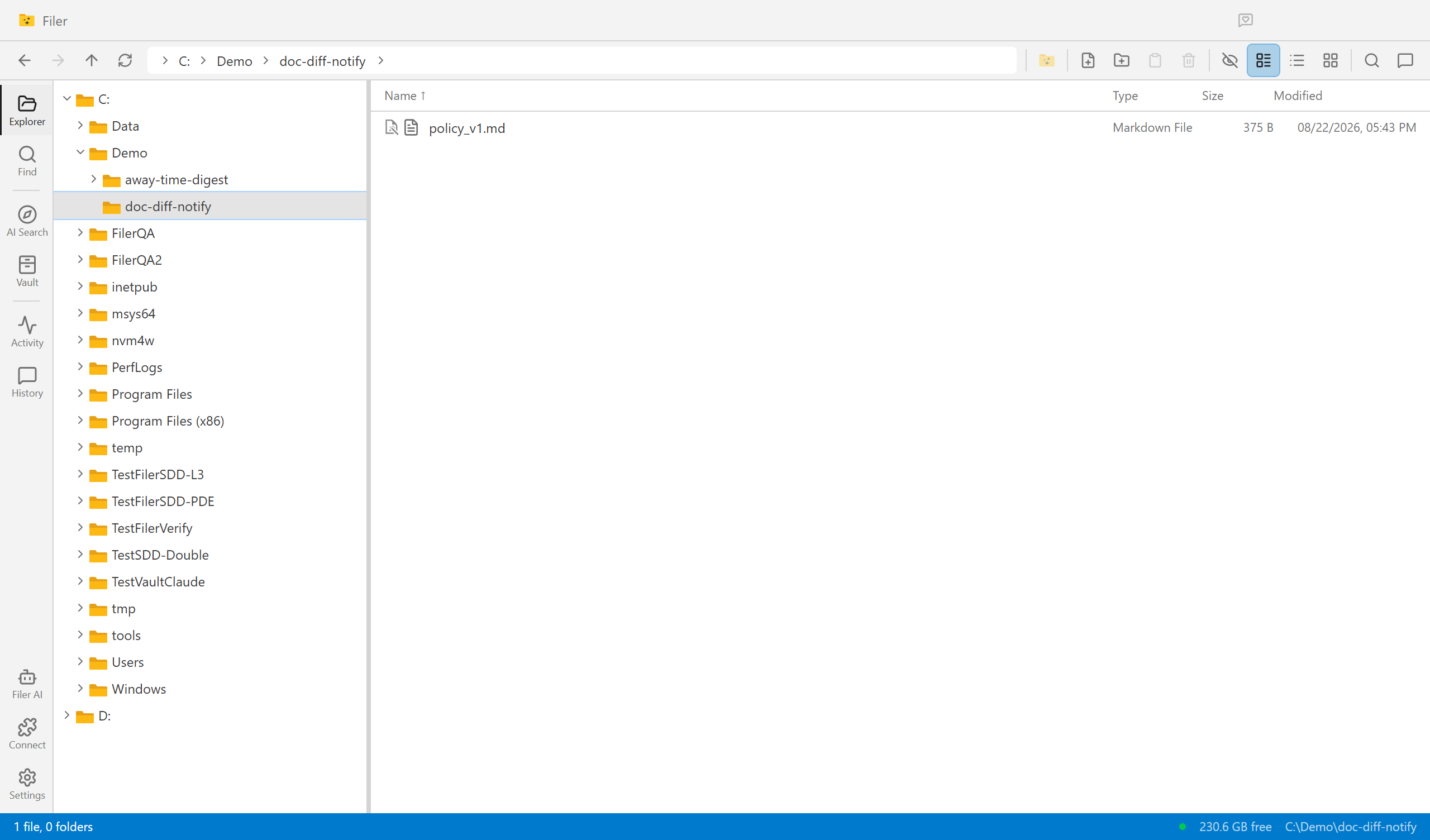 Filer Explorer showing a folder with a single policy document, the current version